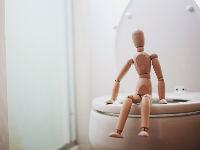 Ngày Toilet Thế Giới được tổ chức vào ngày 19/11 hằng năm